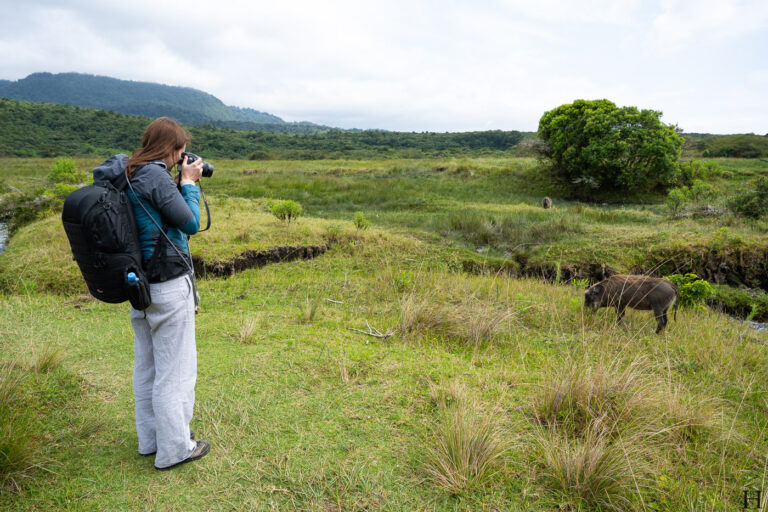 20260624 111855 Arusha, Iris Siegl, Nationalpark, Safari, Tansania DSC9254