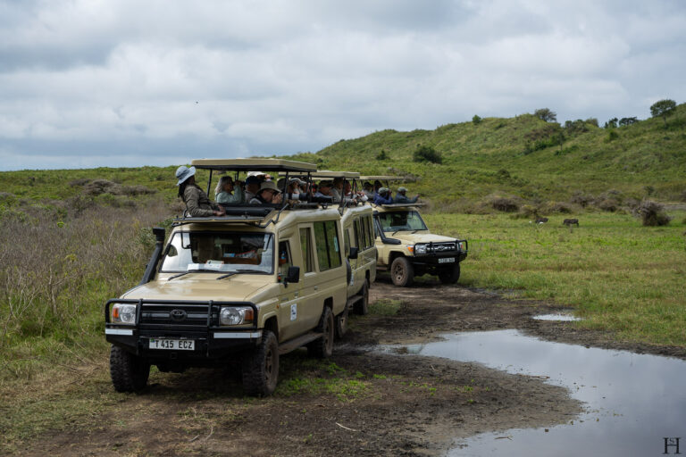20260624 133324 Arusha, Nationalpark, Safari, Tansania DSC9344