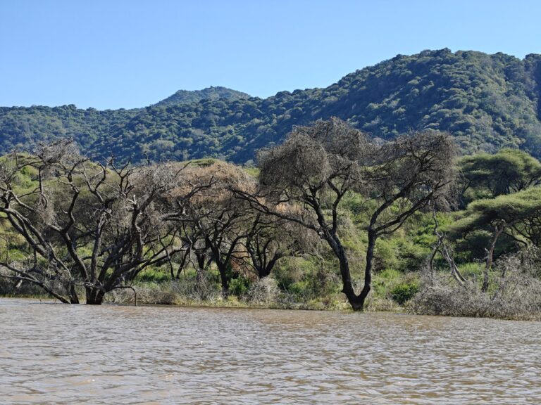 Oplus